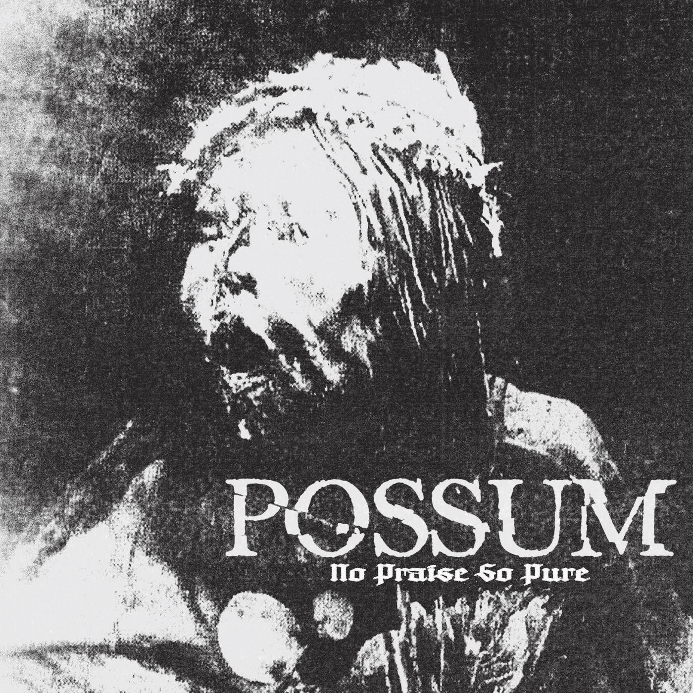 Possum — No Praise So Pure
