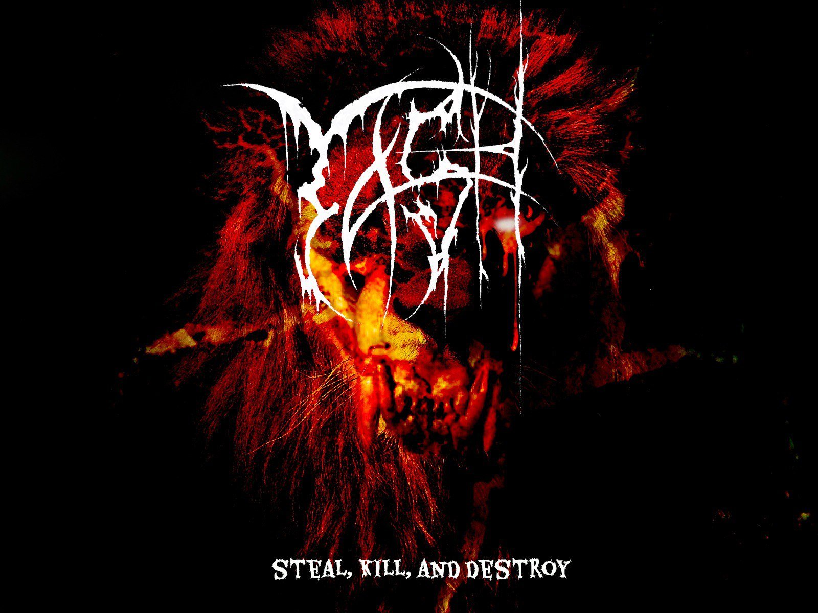 Tash — Steal, Kill, and Destroy