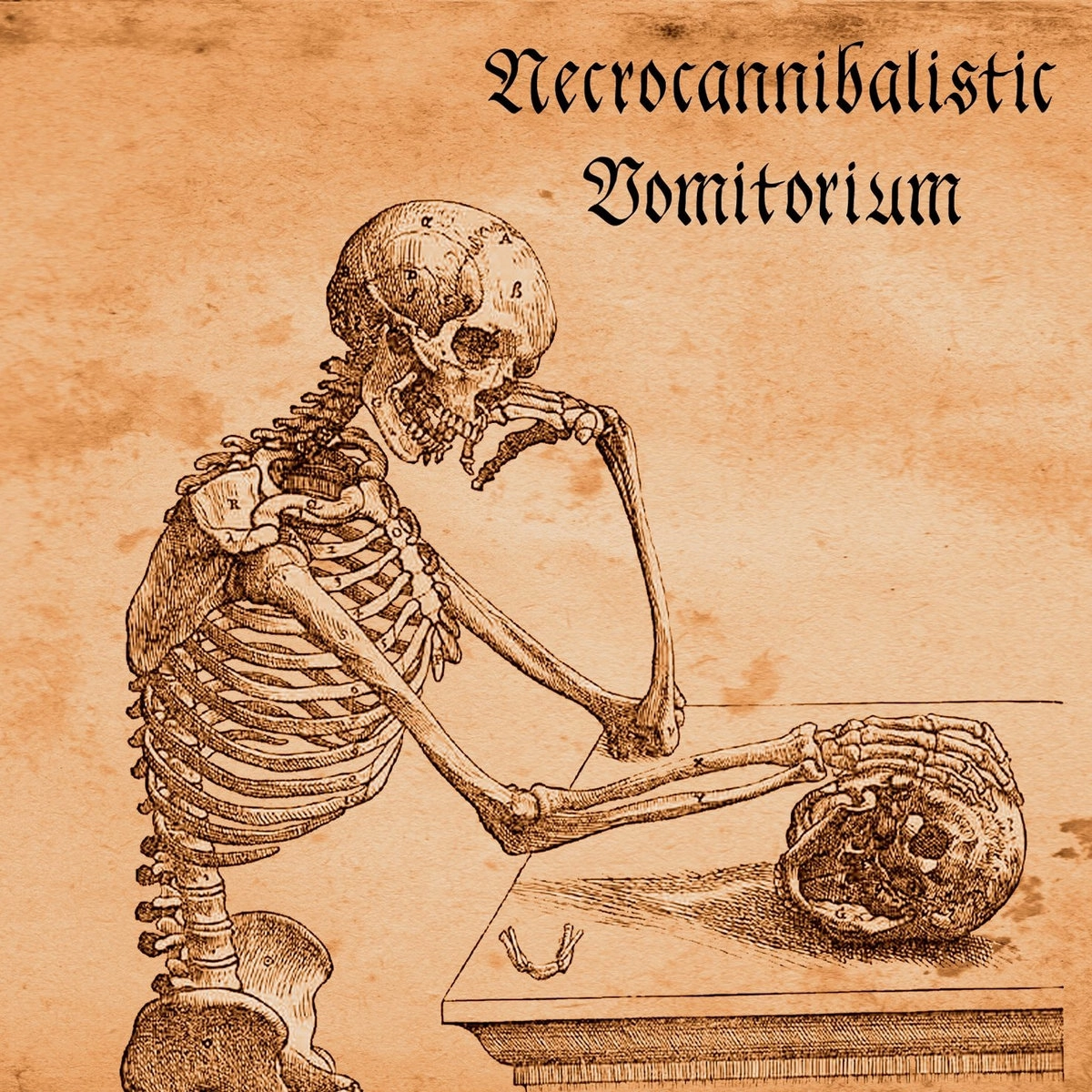 Necrocannibalistic Vomitorium — Hvmani Corporis Ossvm
