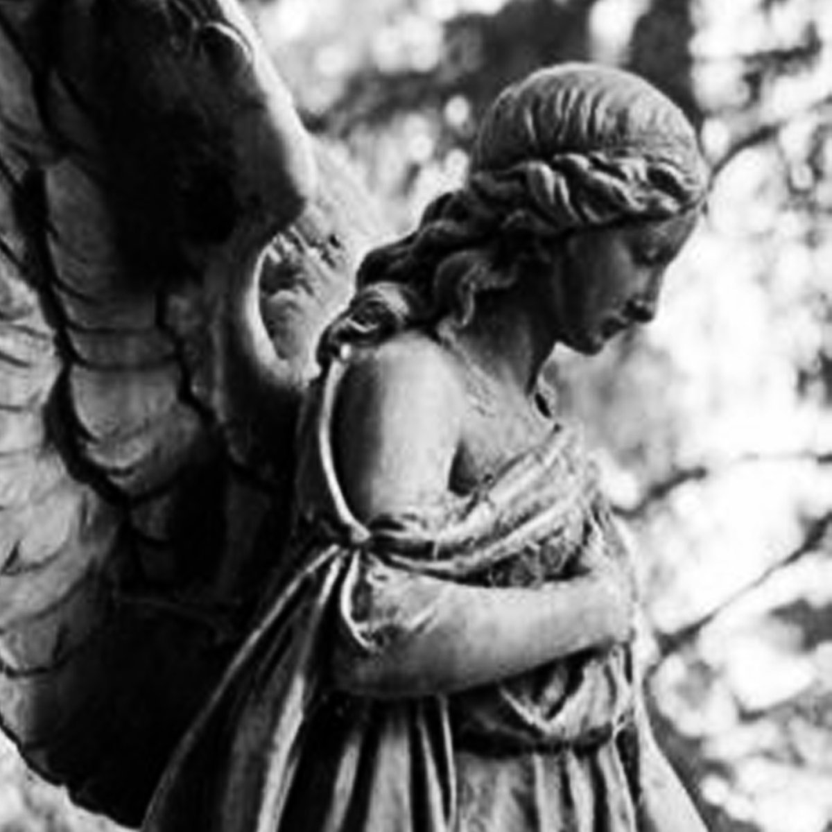 Dark Woods — Verblassen