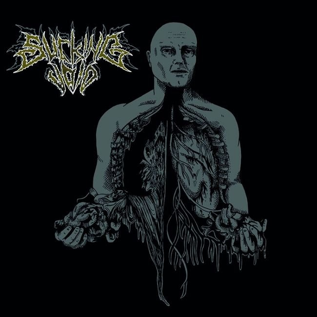Sucking Void — Vegetative State of Chaos