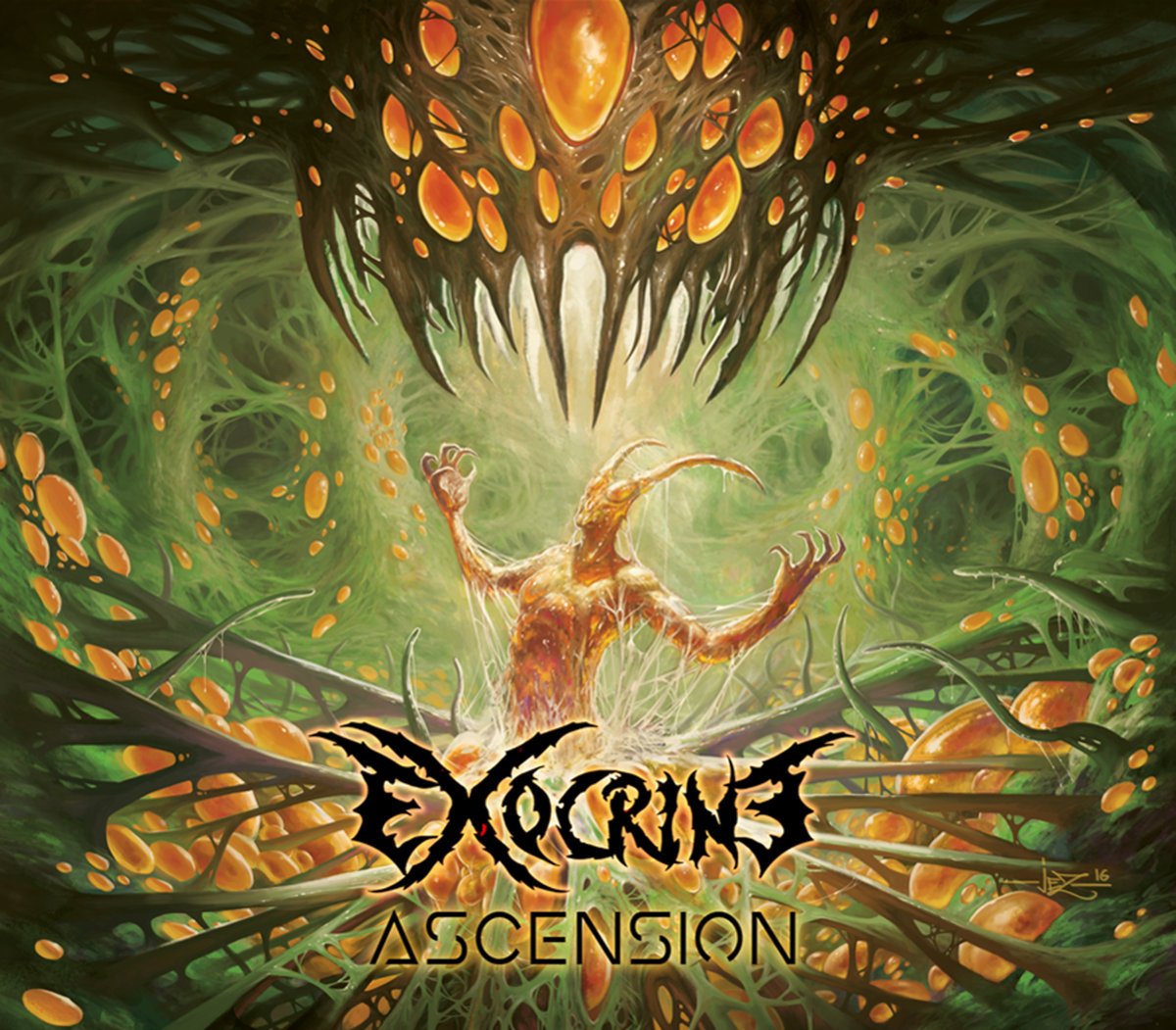 Exocrine — Ascension